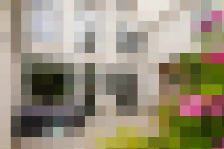 Singel 7 Sneek thumbnail 59