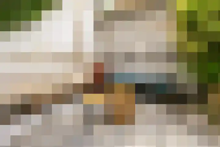 Singel 7 Sneek thumbnail 62