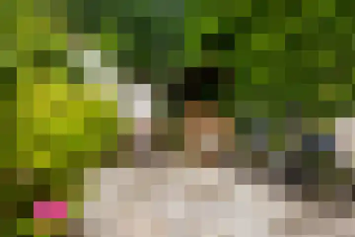 Singel 7 Sneek thumbnail 63