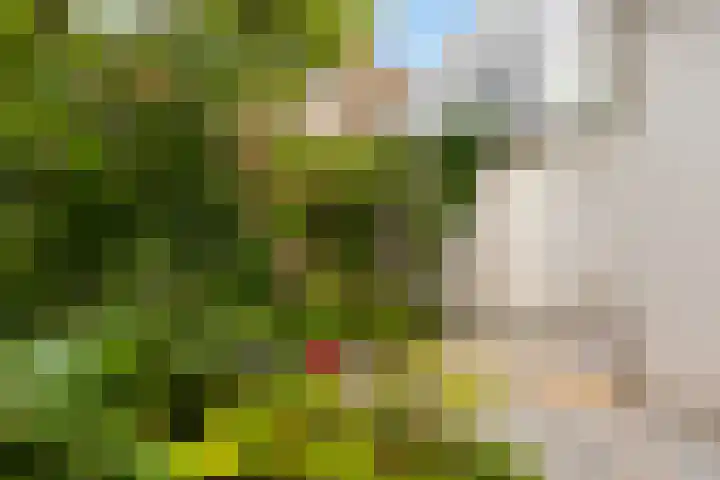 Singel 7 Sneek thumbnail 64