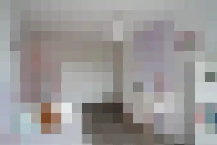 Singel 7 Sneek thumbnail 65