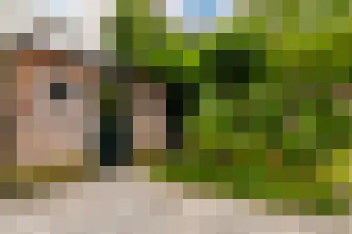 Singel 7 Sneek thumbnail 66