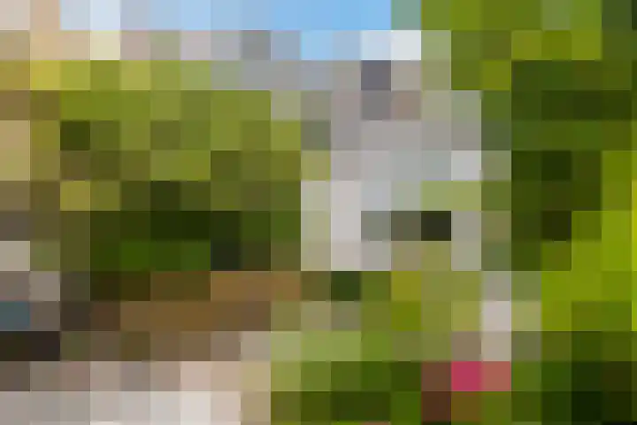Singel 7 Sneek thumbnail 67
