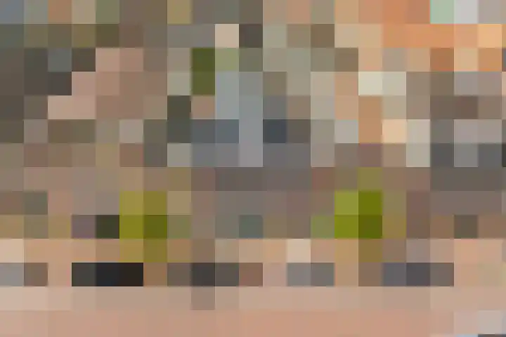 Singel 7 Sneek thumbnail 68