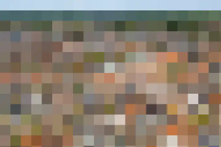 Singel 7 Sneek thumbnail 70