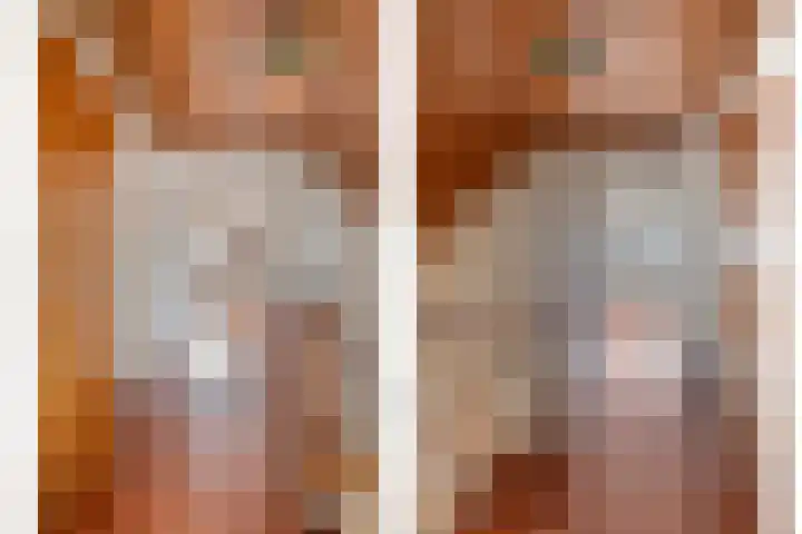 Singel 73 Westdorpe thumbnail 15