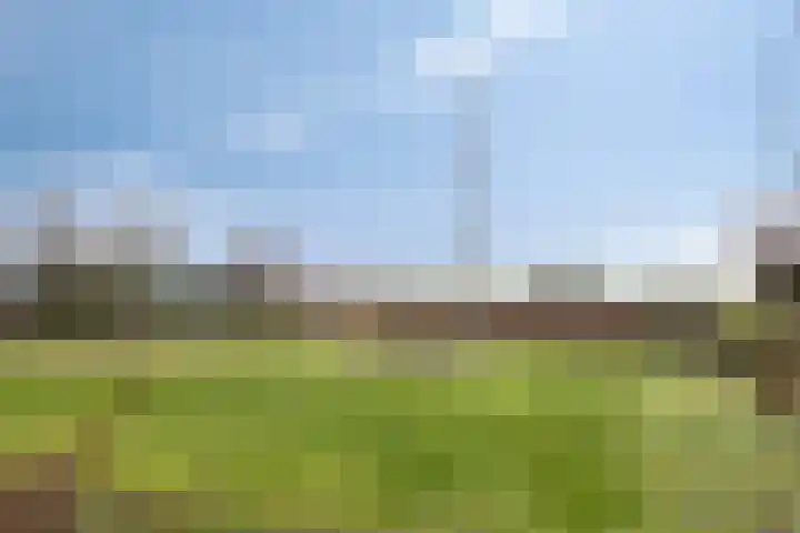 Singel 73 Westdorpe thumbnail 22