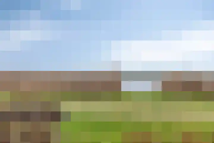 Singel 73 Westdorpe thumbnail 25