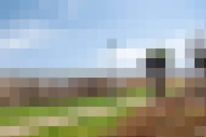 Singel 73 Westdorpe thumbnail 26