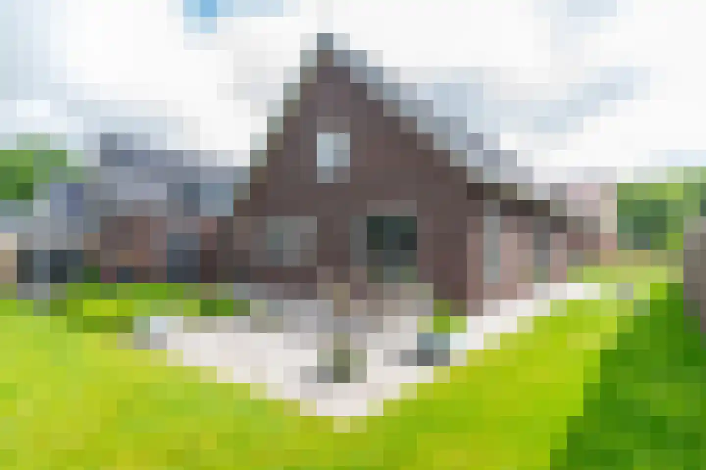Singel 8 in Pesse