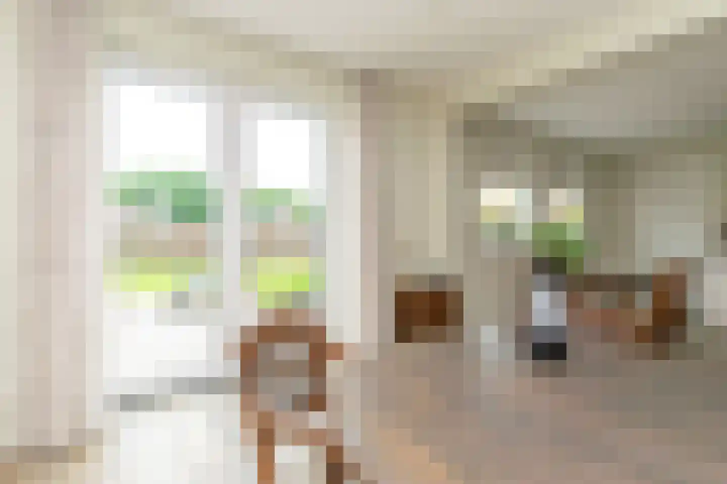Singel 8 Pesse thumbnail 13