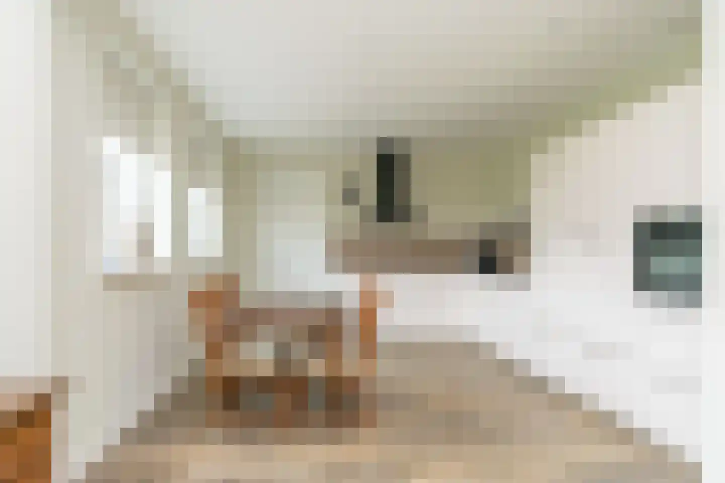 Singel 8 Pesse foto 2
