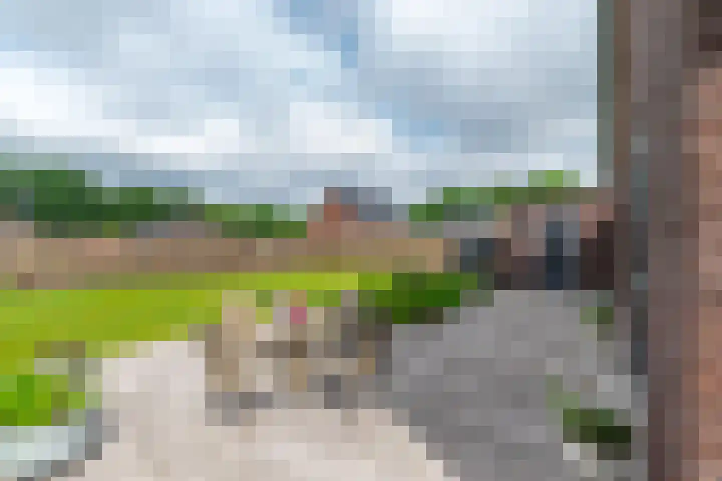 Singel 8 Pesse thumbnail 38