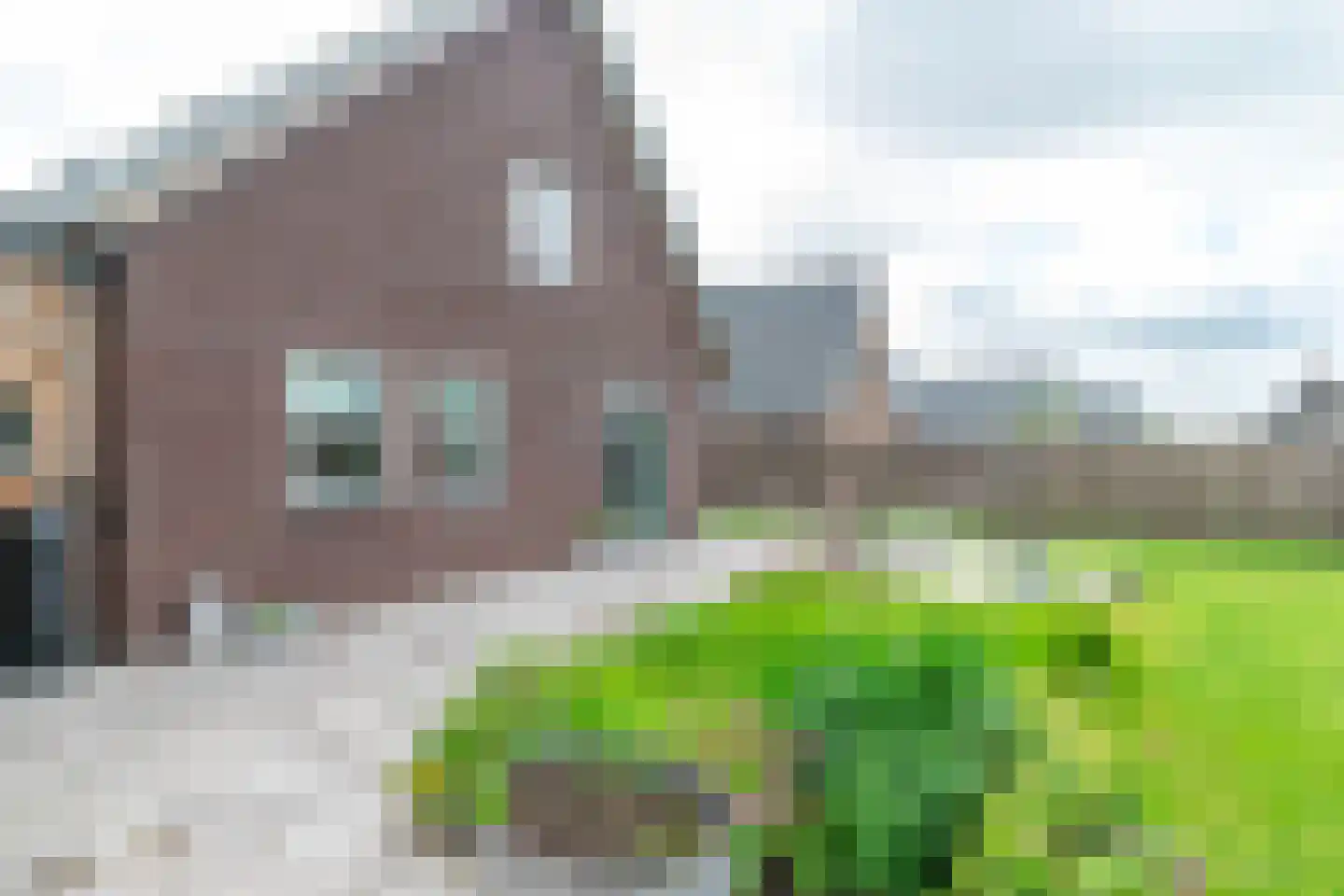 Singel 8 Pesse thumbnail 39