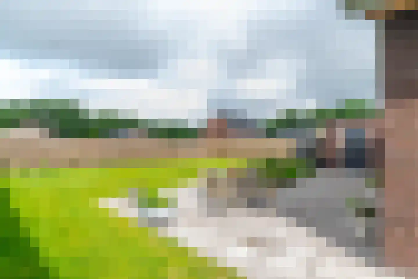 Singel 8 Pesse thumbnail 5