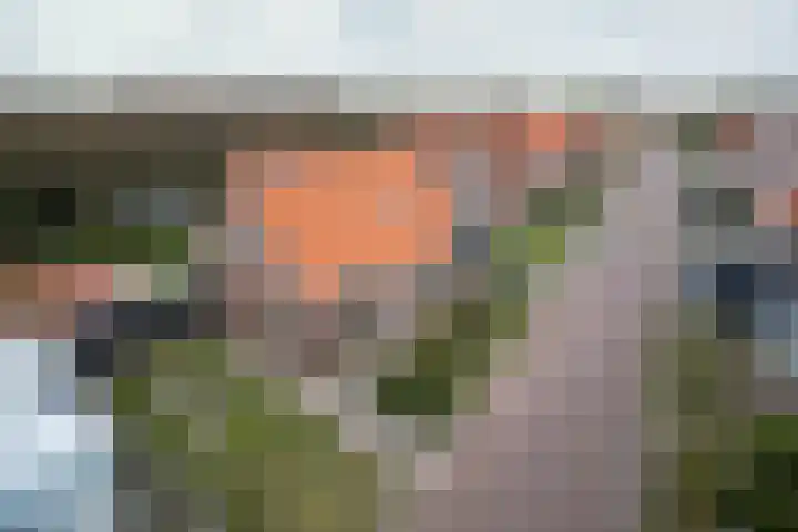 Singel 8 Petten