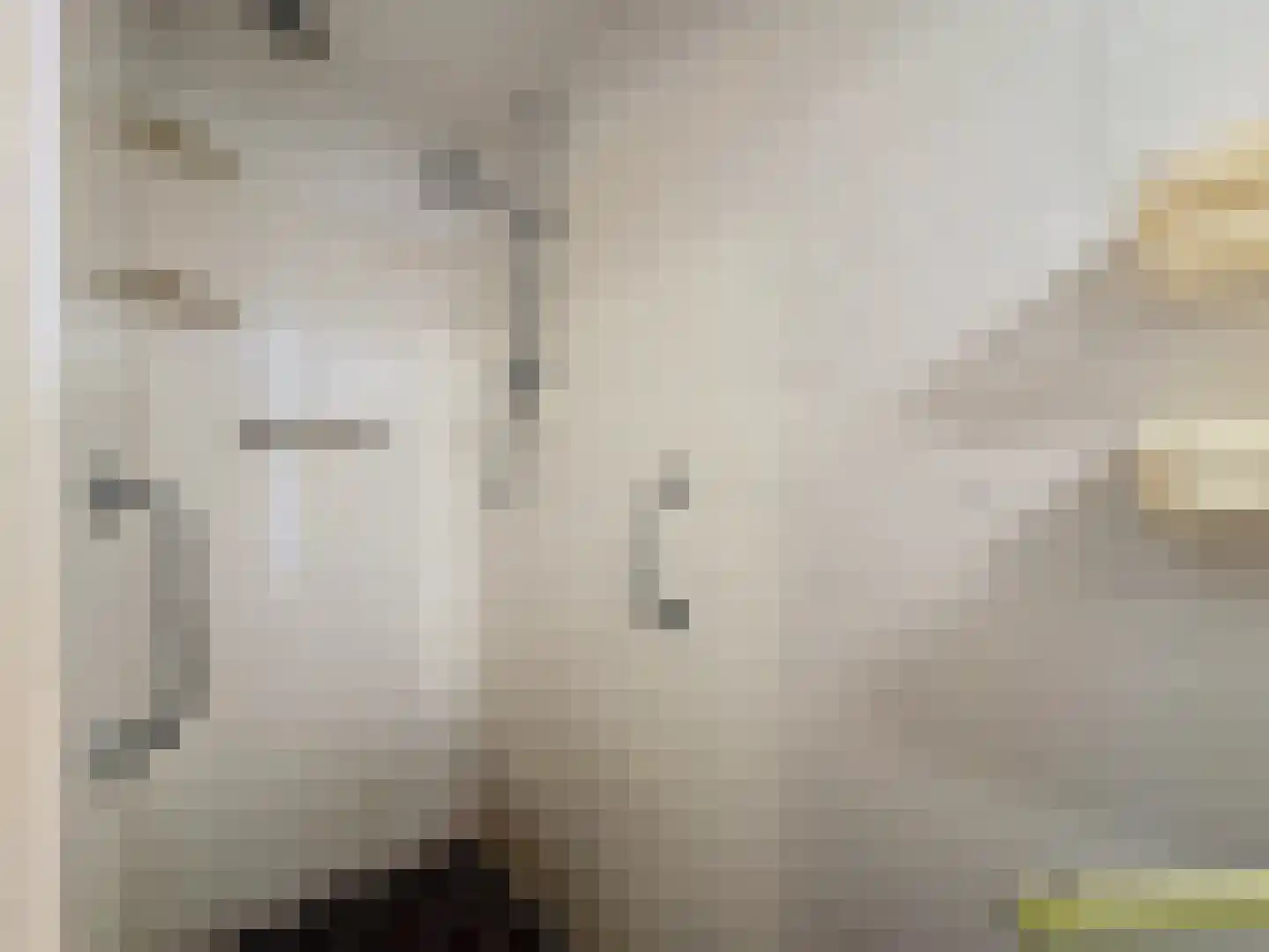 Singel 9 Sluis thumbnail 14
