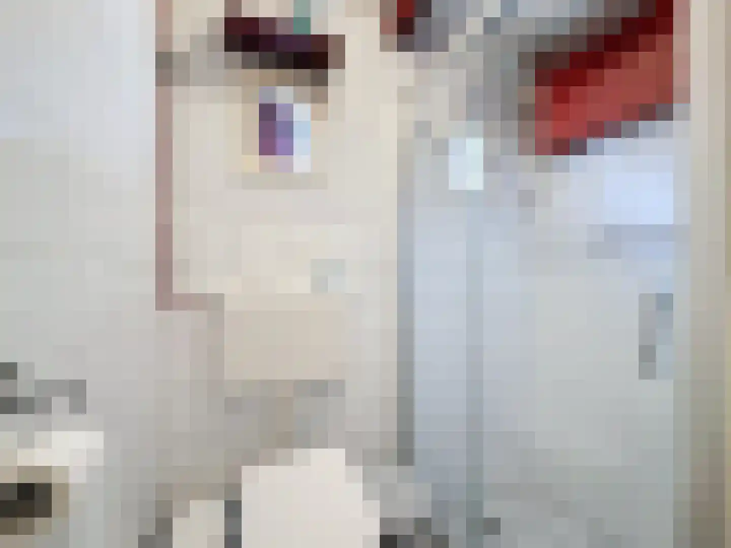 Singel 9 Sluis thumbnail 29