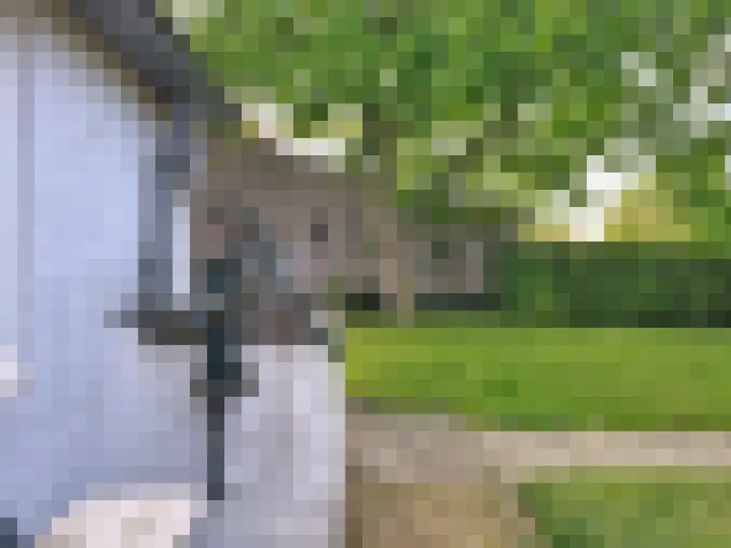 Singel 9 Sluis thumbnail 31