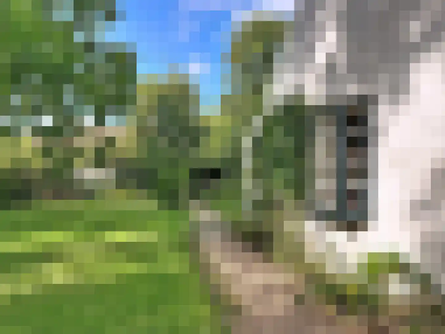 Singel 9 Sluis thumbnail 32