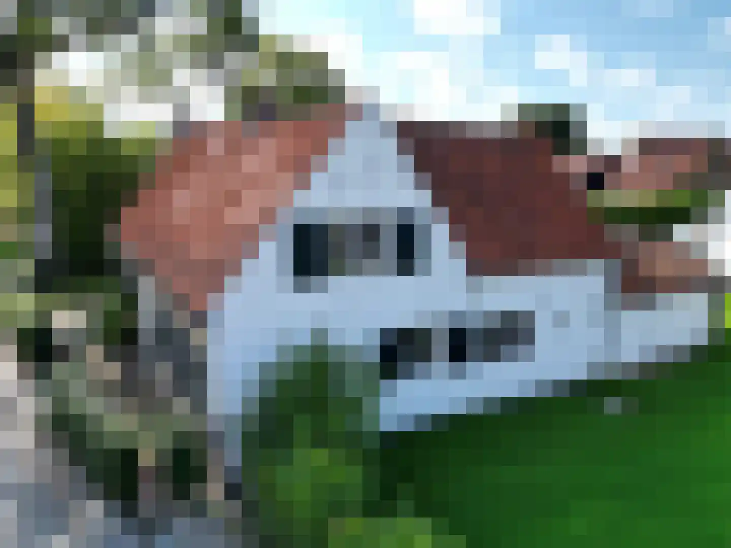Singel 9 Sluis thumbnail 34