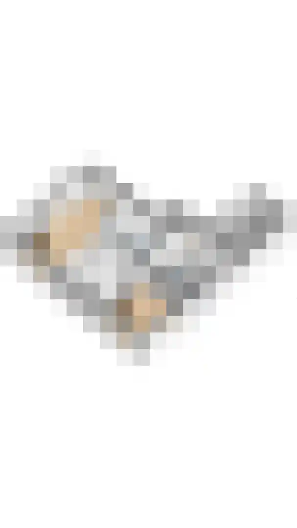 Singel 9 Sluis thumbnail 36