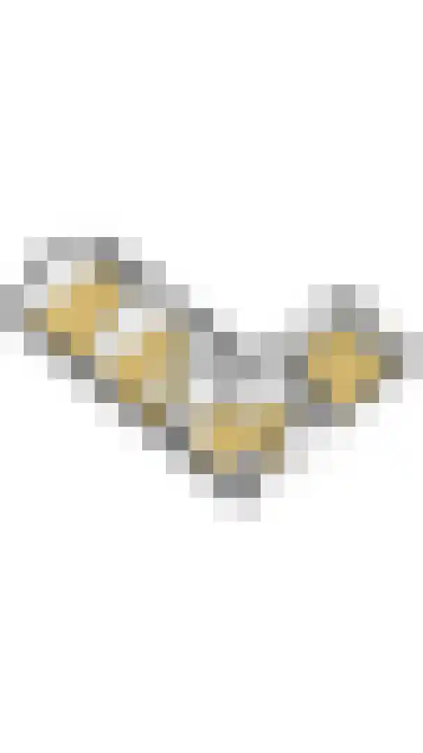 Singel 9 Sluis thumbnail 38