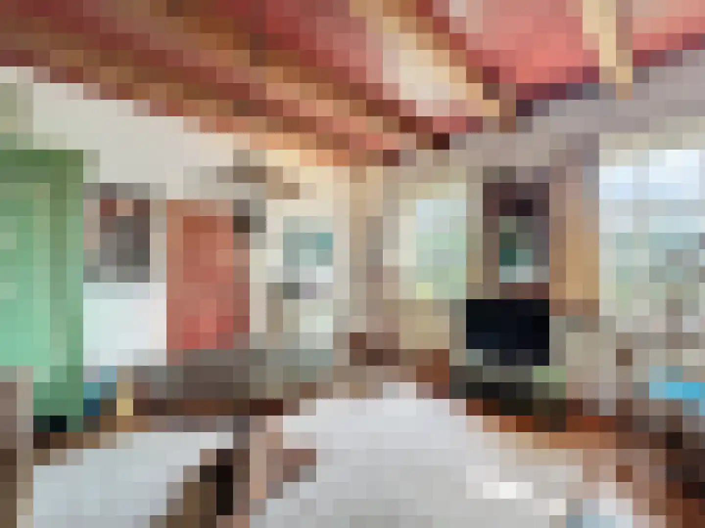 Singel 9 Sluis thumbnail 8