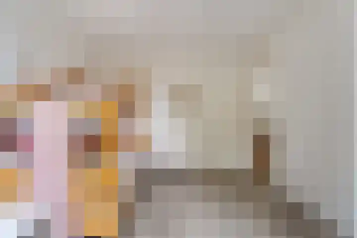 Singelberg 103 Hardenberg thumbnail 13