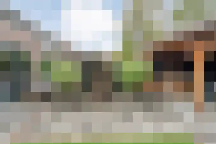 Singelberg 103 Hardenberg thumbnail 27
