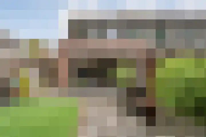 Singelberg 103 Hardenberg thumbnail 30