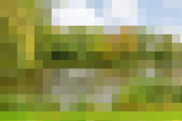 Singelberg 103 Hardenberg thumbnail 31