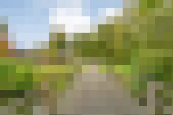 Singelberg 103 Hardenberg thumbnail 32