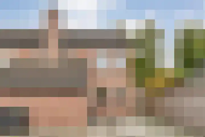 Singelberg 103 Hardenberg thumbnail 40