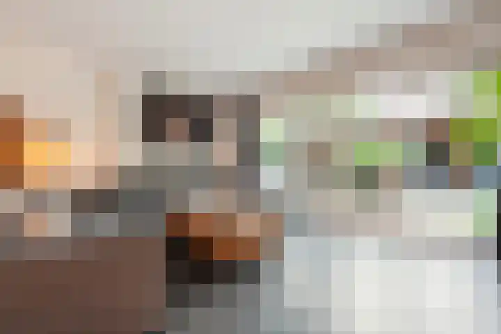 Singelberg 103 Hardenberg thumbnail 5
