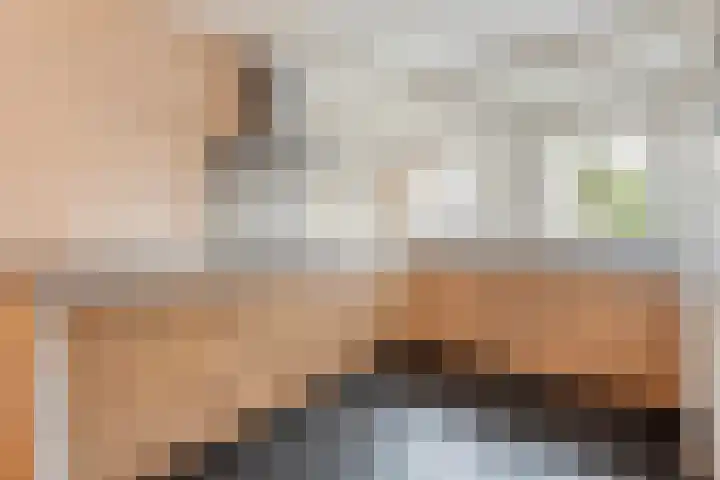 Singelberg 103 Hardenberg thumbnail 8