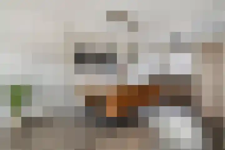 Singelberg 18 Hardenberg thumbnail 10