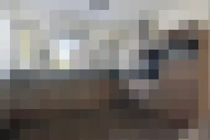 Singelberg 18 Hardenberg thumbnail 12