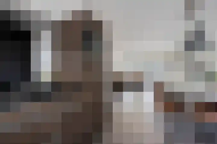 Singelberg 18 Hardenberg thumbnail 14