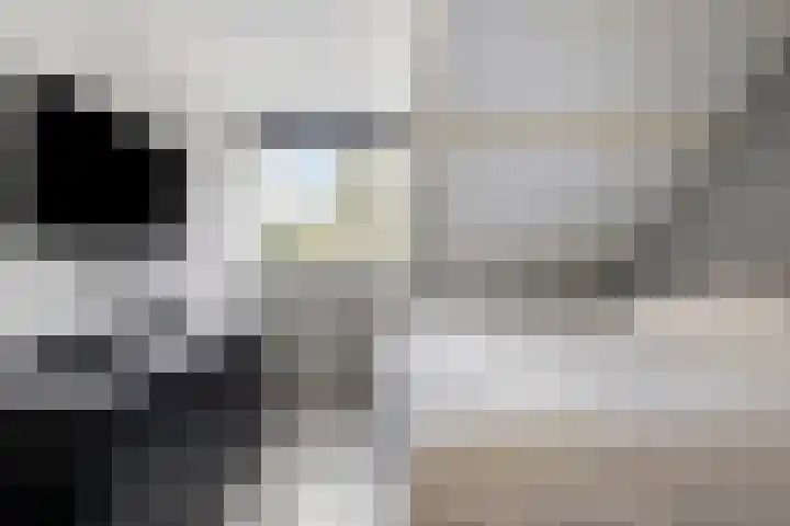 Singelberg 18 Hardenberg thumbnail 19