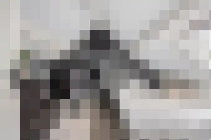 Singelberg 18 Hardenberg thumbnail 27