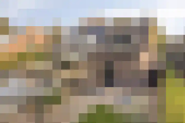 Singelberg 18 Hardenberg thumbnail 29