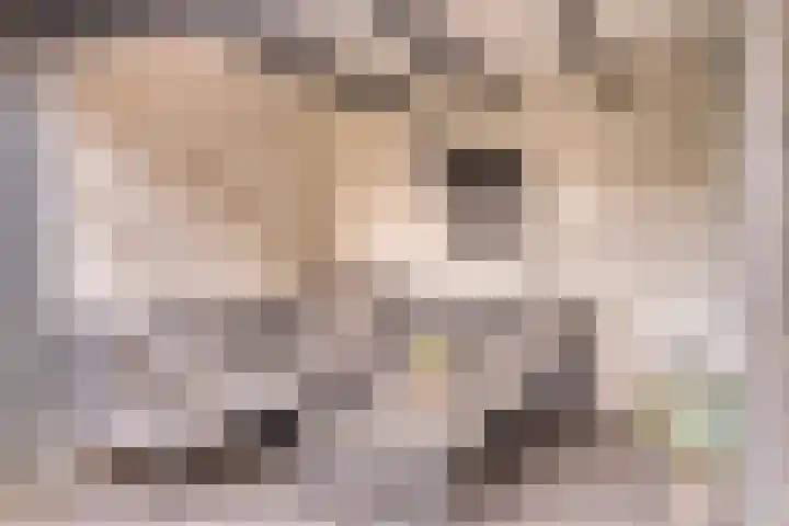 Singelberg 18 Hardenberg thumbnail 34