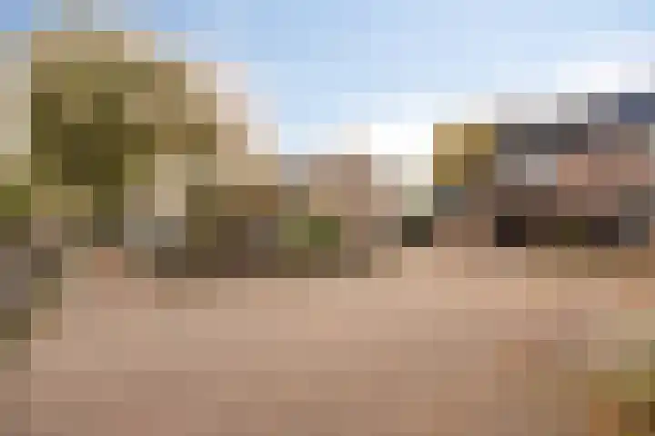 Singelberg 18 Hardenberg thumbnail 36