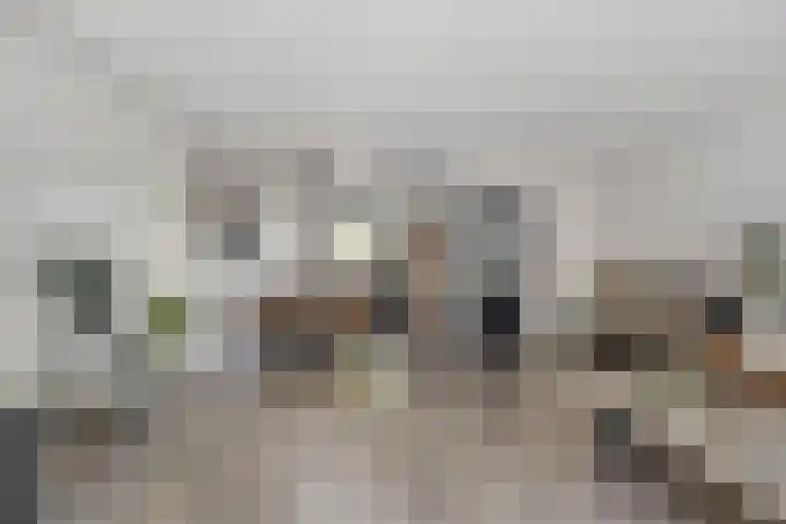 Singelberg 18 Hardenberg thumbnail 8