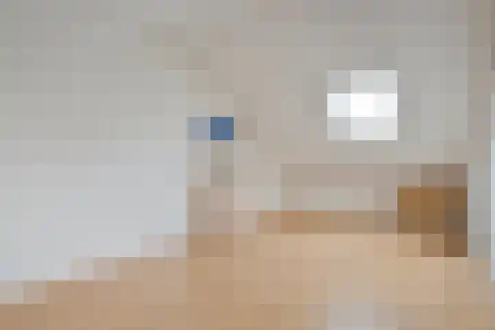 Singelberg 60 Hardenberg thumbnail 31