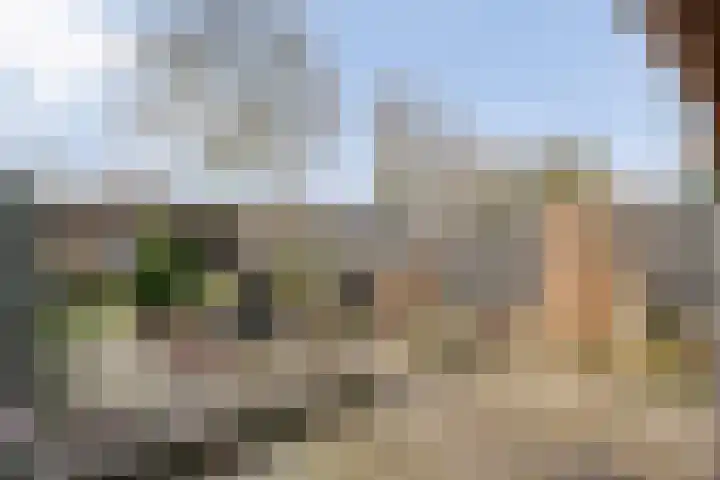 Singelberg 60 Hardenberg thumbnail 36