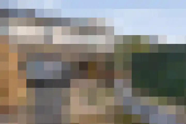 Singelberg 60 Hardenberg thumbnail 37