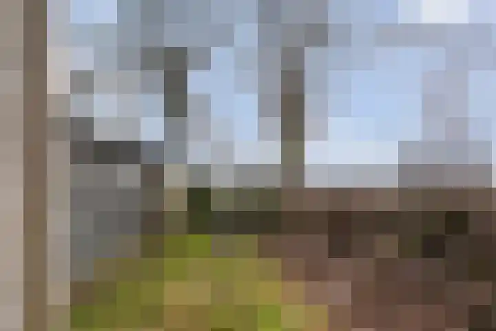 Singelberg 60 Hardenberg thumbnail 43
