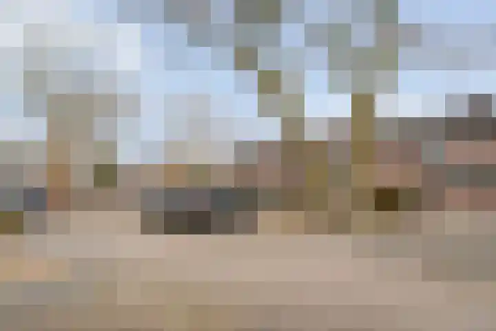 Singelberg 60 Hardenberg thumbnail 45